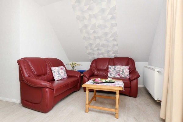 Wohnzimmer mit integriertem Küchenbereich