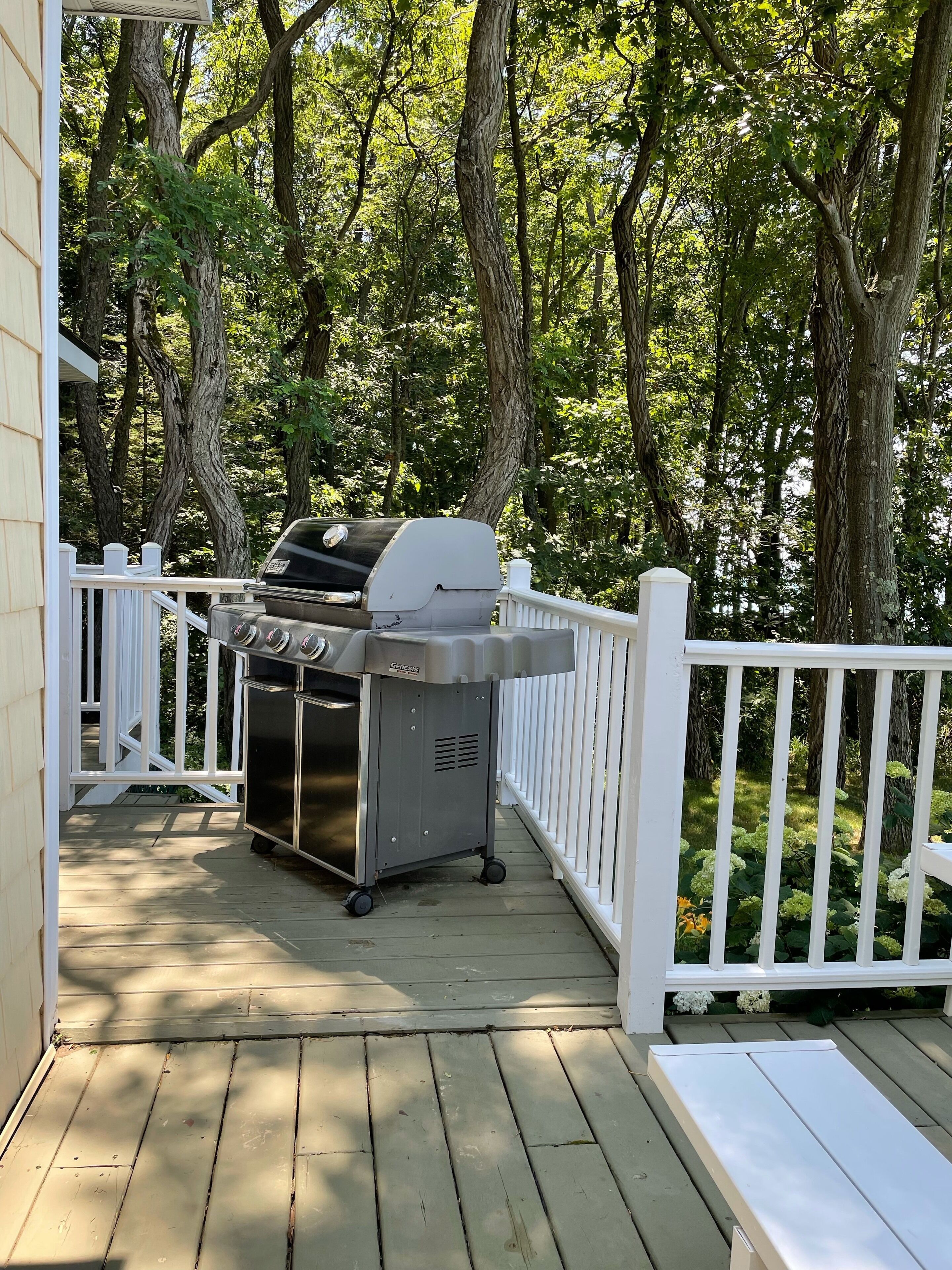 Gas grill 