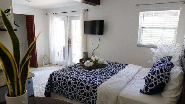 A bedroom with a bed, a TV mounted on the wall, a window with blinds, and a plant in the foreground. - Experience the passion of hospitality, cleaning, and good location! (Tampa)