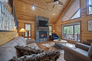 Televisión, chimenea y reproductor de DVD 