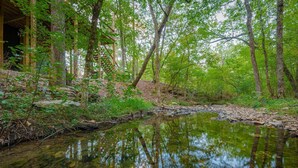 A forested area with a stream reflecting trees and a wooden structure.