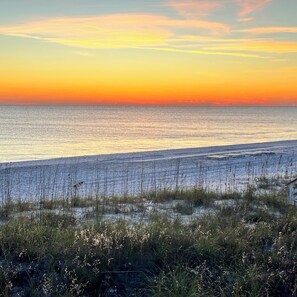 Beach nearby, sun-loungers, beach towels - Blissful Beach Cottage Steps from Beach (Panama City Beach)