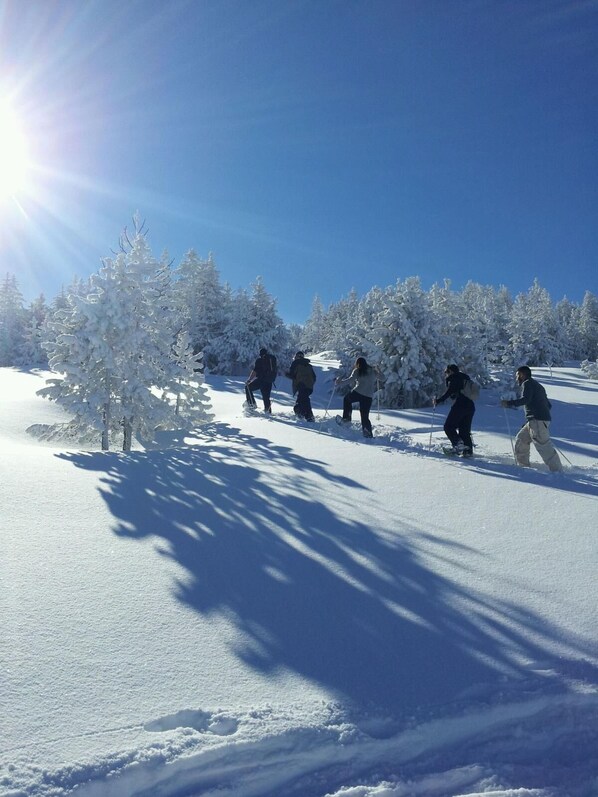 A group of people skiing on a snow-covered slope with trees in the background. - Casa Rural Rogel (full rental) for 7 people in Llessui-Sort- Pirineos (Llessui)