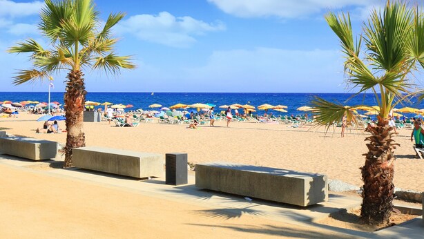 A beach with palm trees, umbrellas, and people. - Beautiful apartment in Calella 5 minutes from the beach. Close to shops and restaurants. Free WIFI. Vivalidays Ilaria. (Calella)