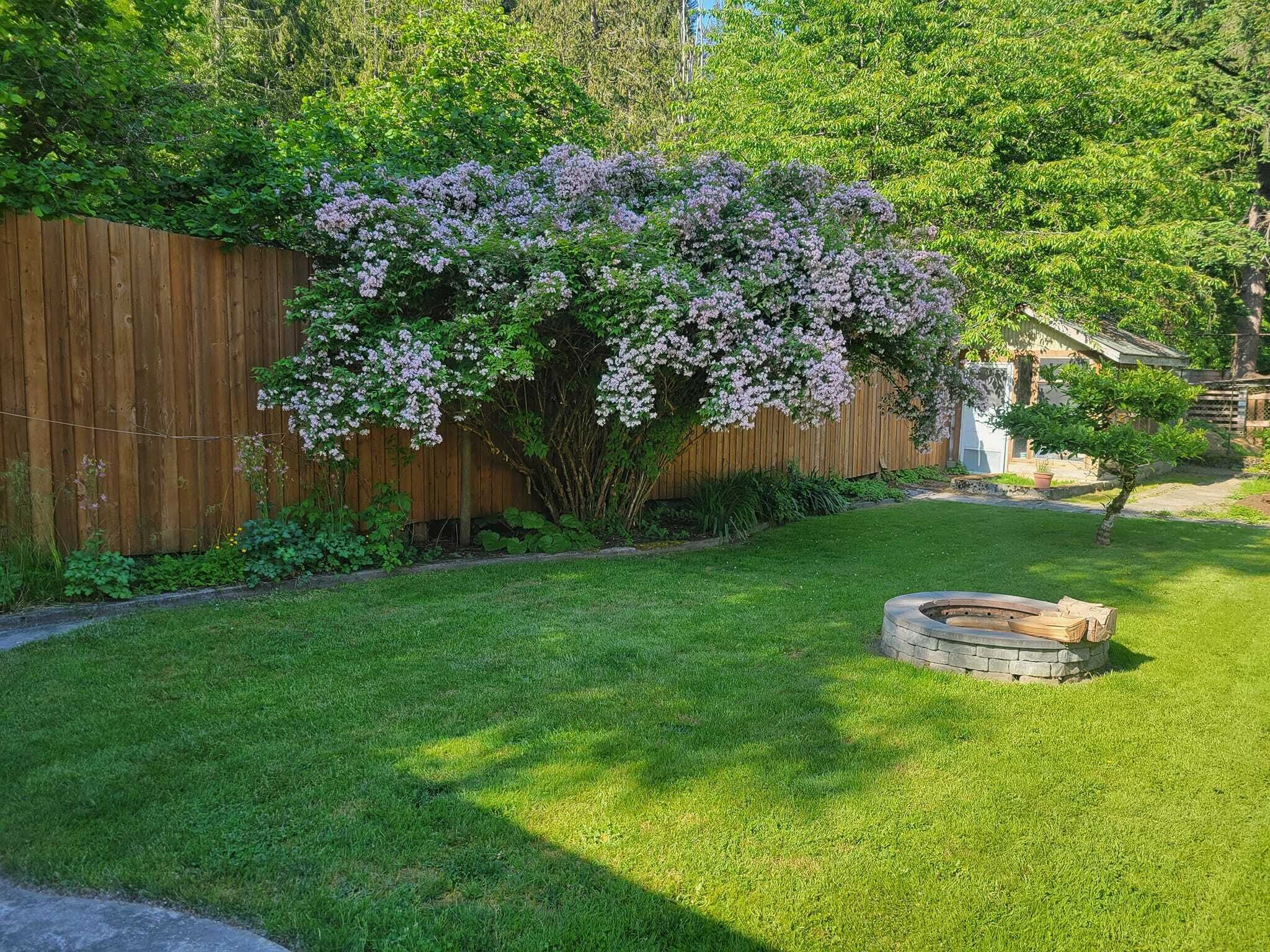 Yard with firepit