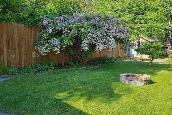 Yard with firepit