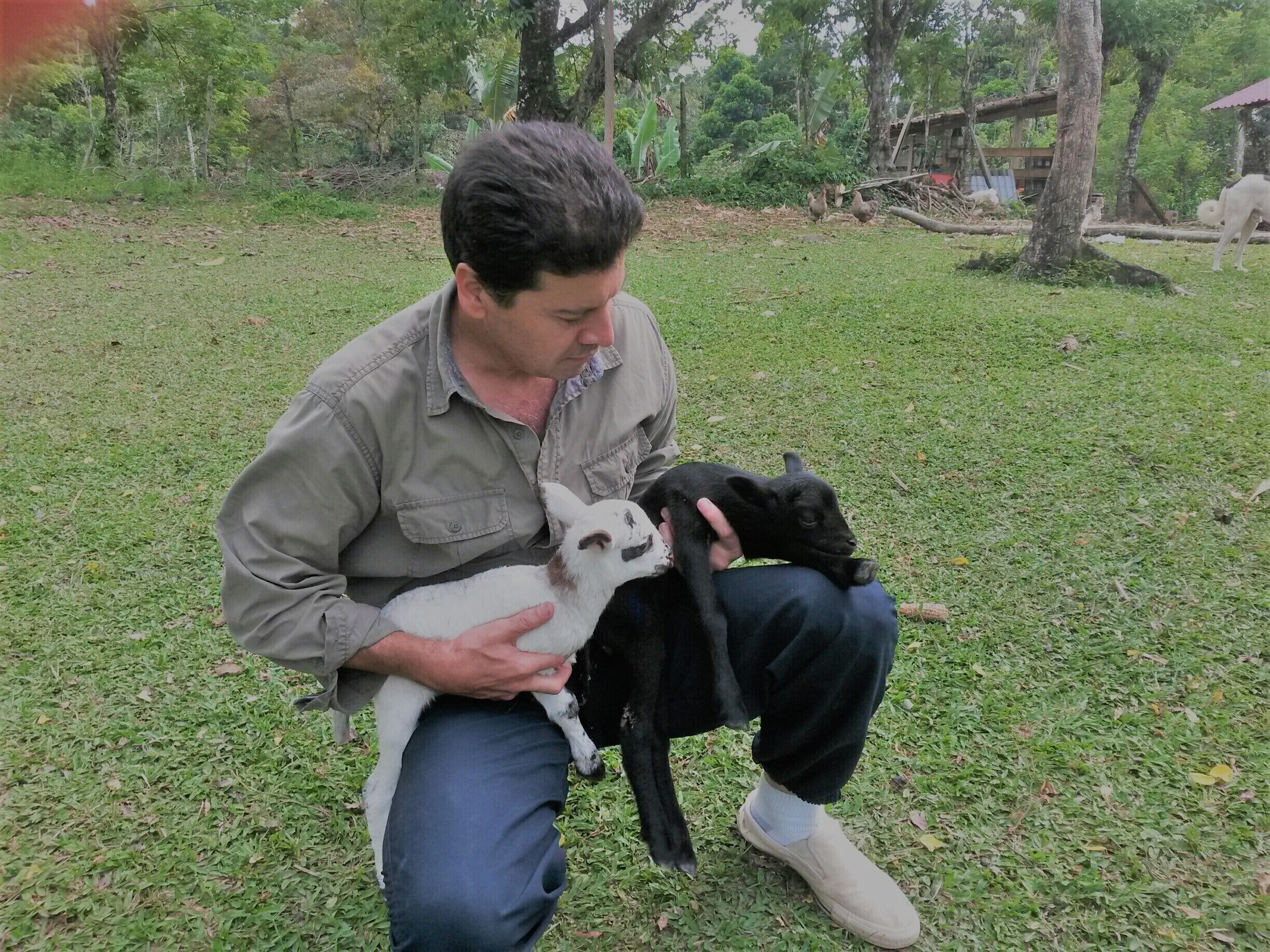 Animali ammessi