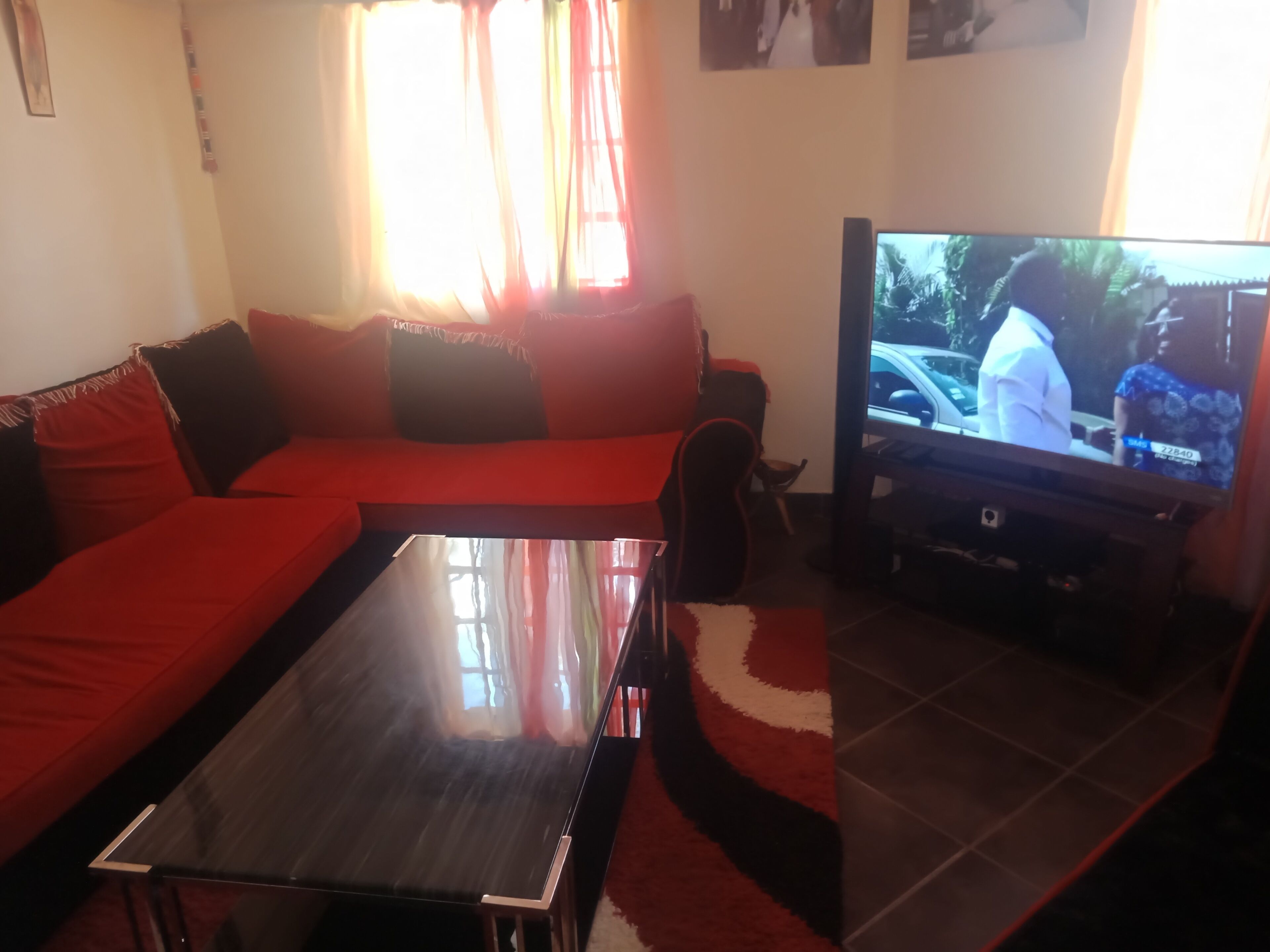 TV, DVD player, books, music library