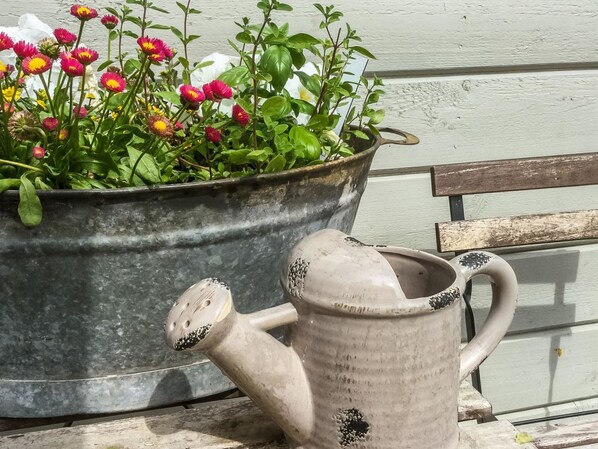 Un arrosoir en métal et une plante en pot, ornée de fleurs, sur un balcon.