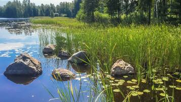 Un lago tranquilo con rocas y juncos, rodeado de árboles.