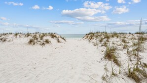 Uma praia de areia com dunas e céu claro.