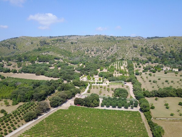 Vue aérienne