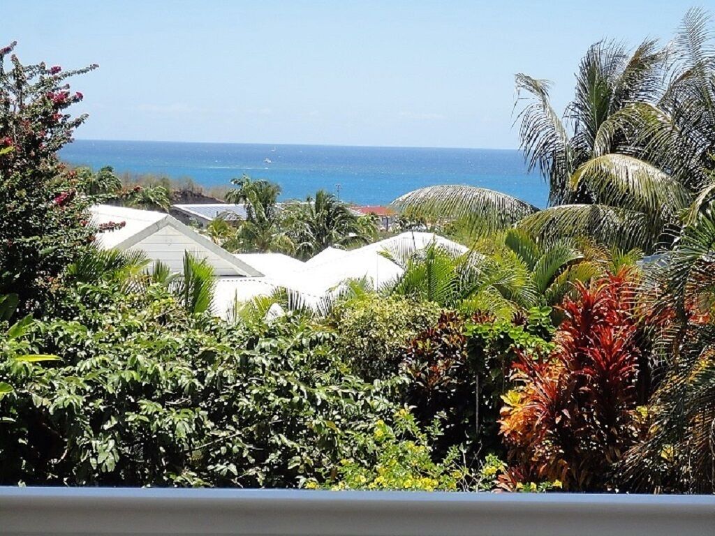 A coastal view with lush greenery and a clear blue sky.