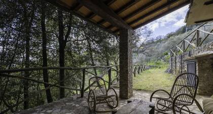 Casa Margherita, Ferme Ceragioli, maison toscane, détente, piscine et sauna