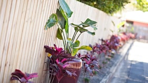 Uma fileira de plantas em vasos contra um muro de madeira.