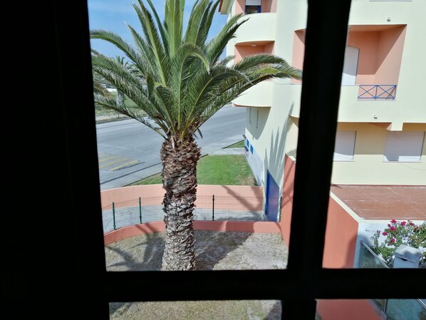 Enjoy the serene view from this balcony overlooking the street, with a palm tree and a building in the background.