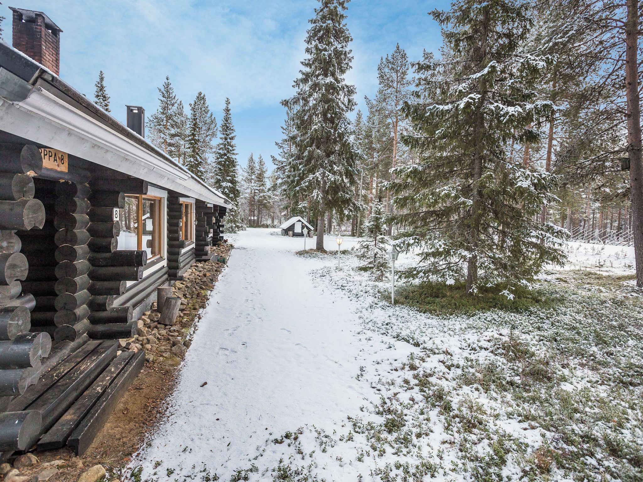 Une cabane en rondins, avec un sentier enneigé menant à celle-ci, entourée de grands pins.