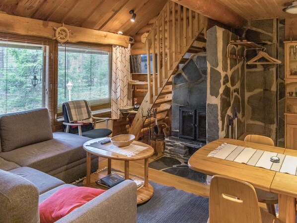 電視、DVD 播放機