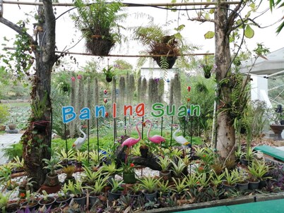Guesthouse close to Airport