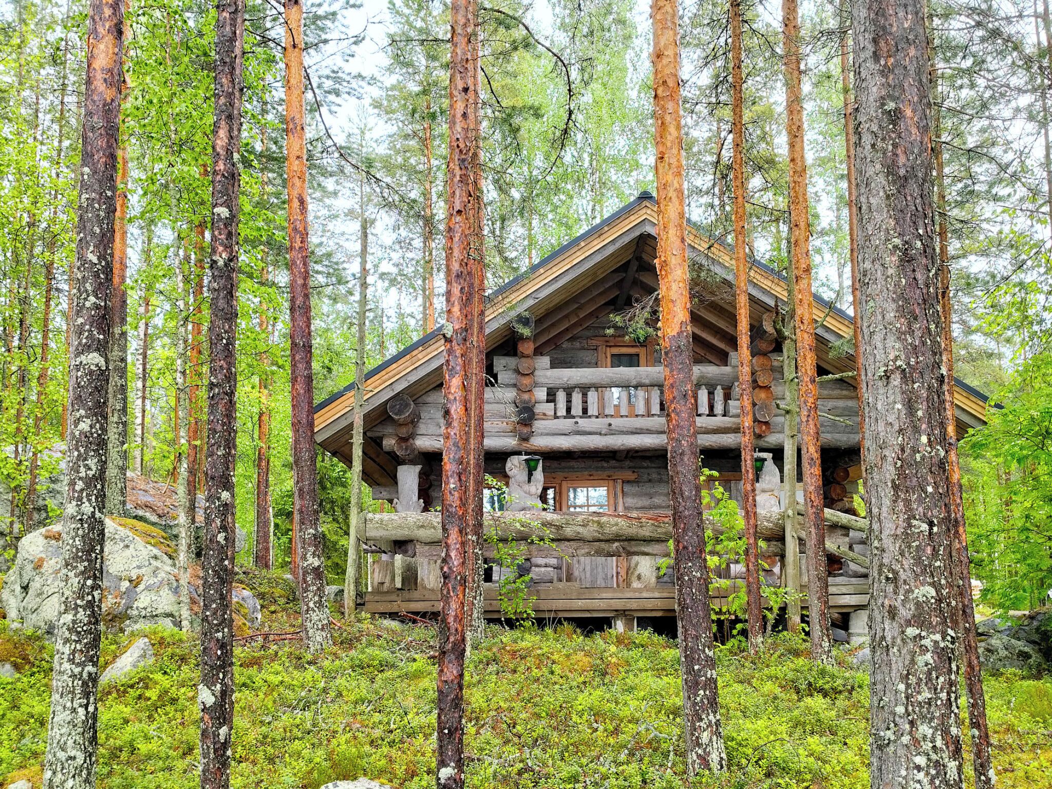 Ulkopuoli
