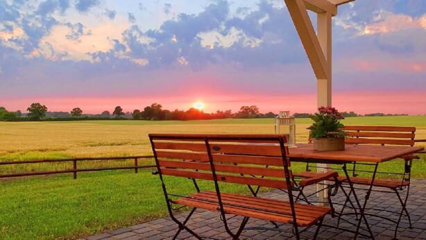 A patio with a brick floor, two wooden benches, a table with a potted plant, and a view of a field at sunset. - Cottage Country House - Ferienhof Börsby - Cottage Country house (Pommerby)