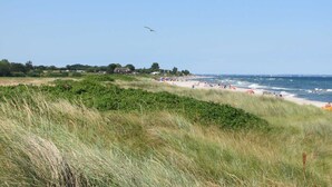 A coastal beach with grassy dunes, a clear sky, and a distant shoreline with buildings. - Cottage Country House - Ferienhof Börsby - Cottage Country house (Pommerby)