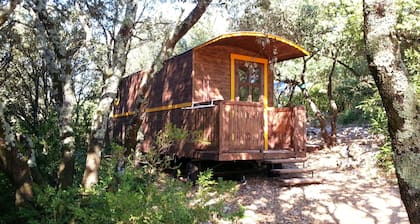 Camping Ibie
