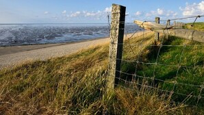 A coastal road with a wooden fence and barbed wire, leading to the sea. - Peace & Space in a real Wieringer residential farmhouse. (Westerland)