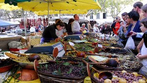 Dining - MAS PROVENCAL 5 mn from Nîmes (Marguerittes - nimes)