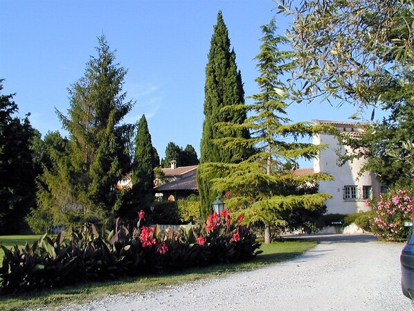 Property grounds - MAS PROVENCAL 5 mn from Nîmes (Marguerittes - nimes)