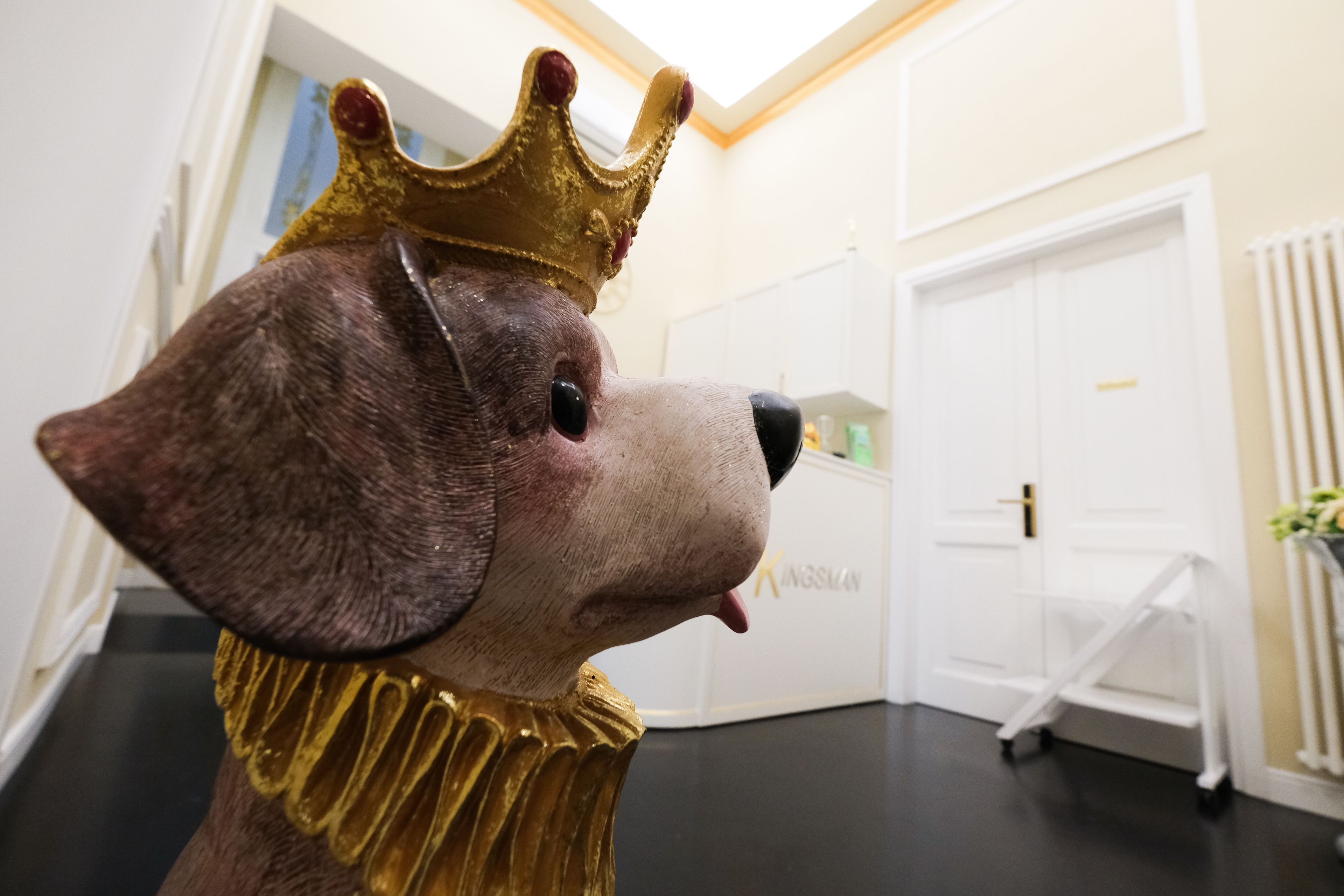 Photo - B&B Kingsman