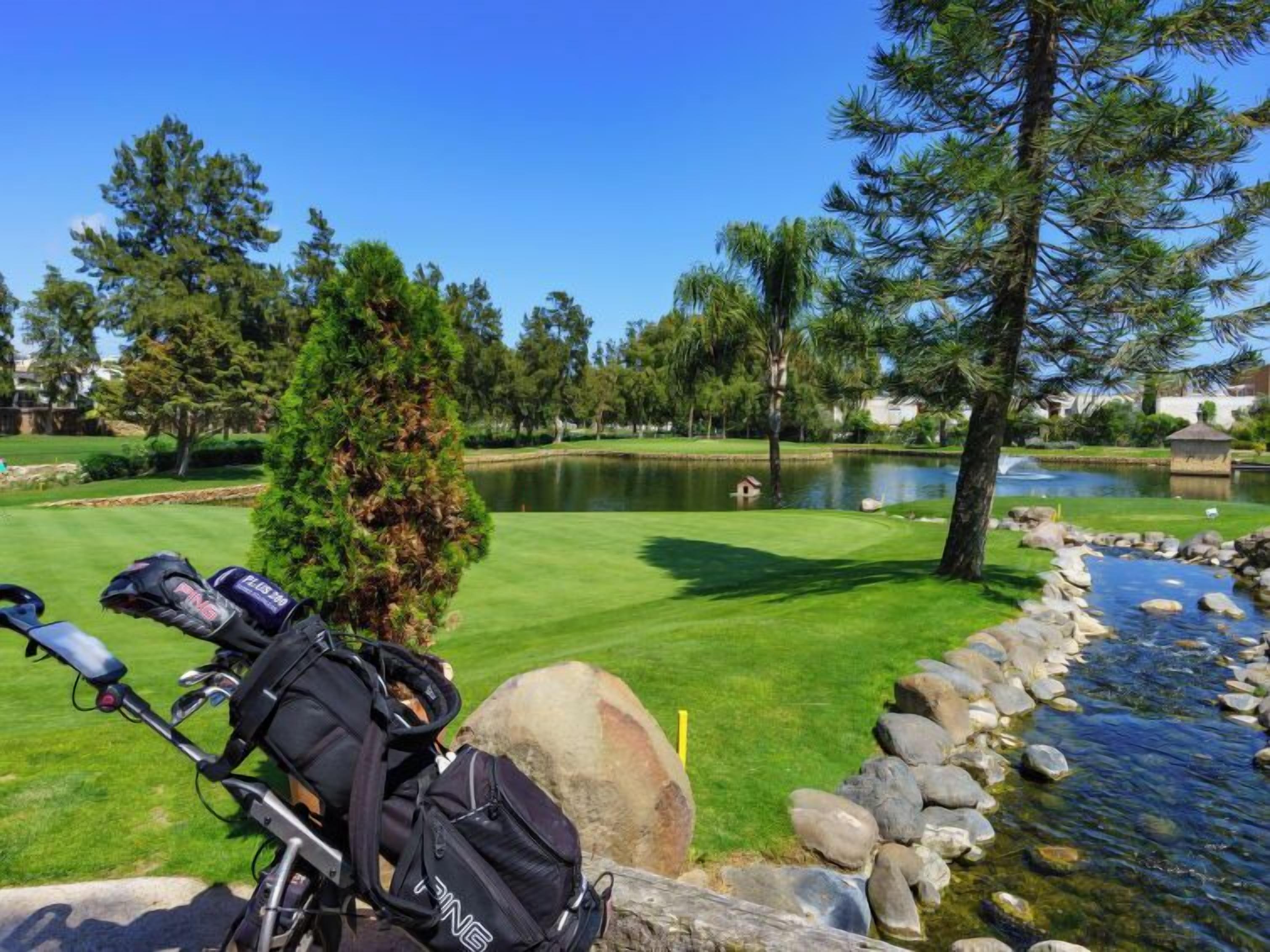A golf cart with bags parked near a pond with rocks and a small stream.