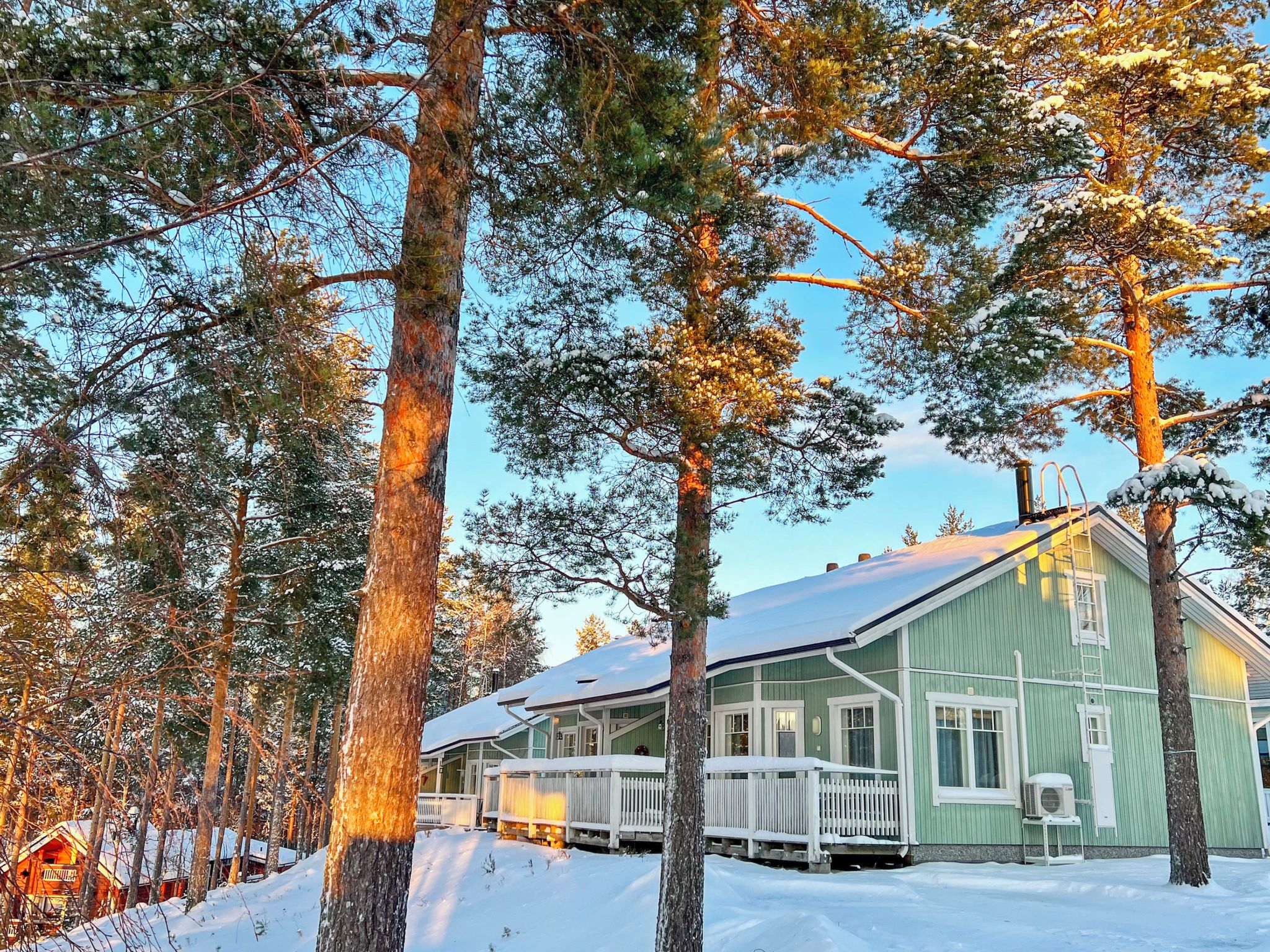 Eksteriør