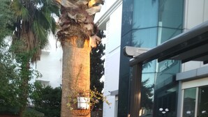 Garden - Villa Gizem (Manavgat)