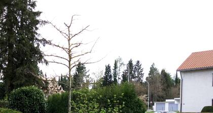 Schöne und gemütliche Ferienwohnung