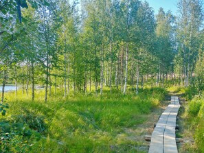 Polku, joka kulkee metsäisen alueen läpi, ja taustalla näkyy vesistö.