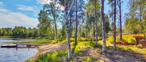 Área da propriedade