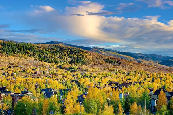 Imagen sin descripción, 1 de 49, botón