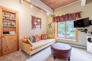 Smart TV, reproductor de DVD y libros 