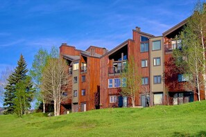 Imagen sin descripción, 5 de 49, botón