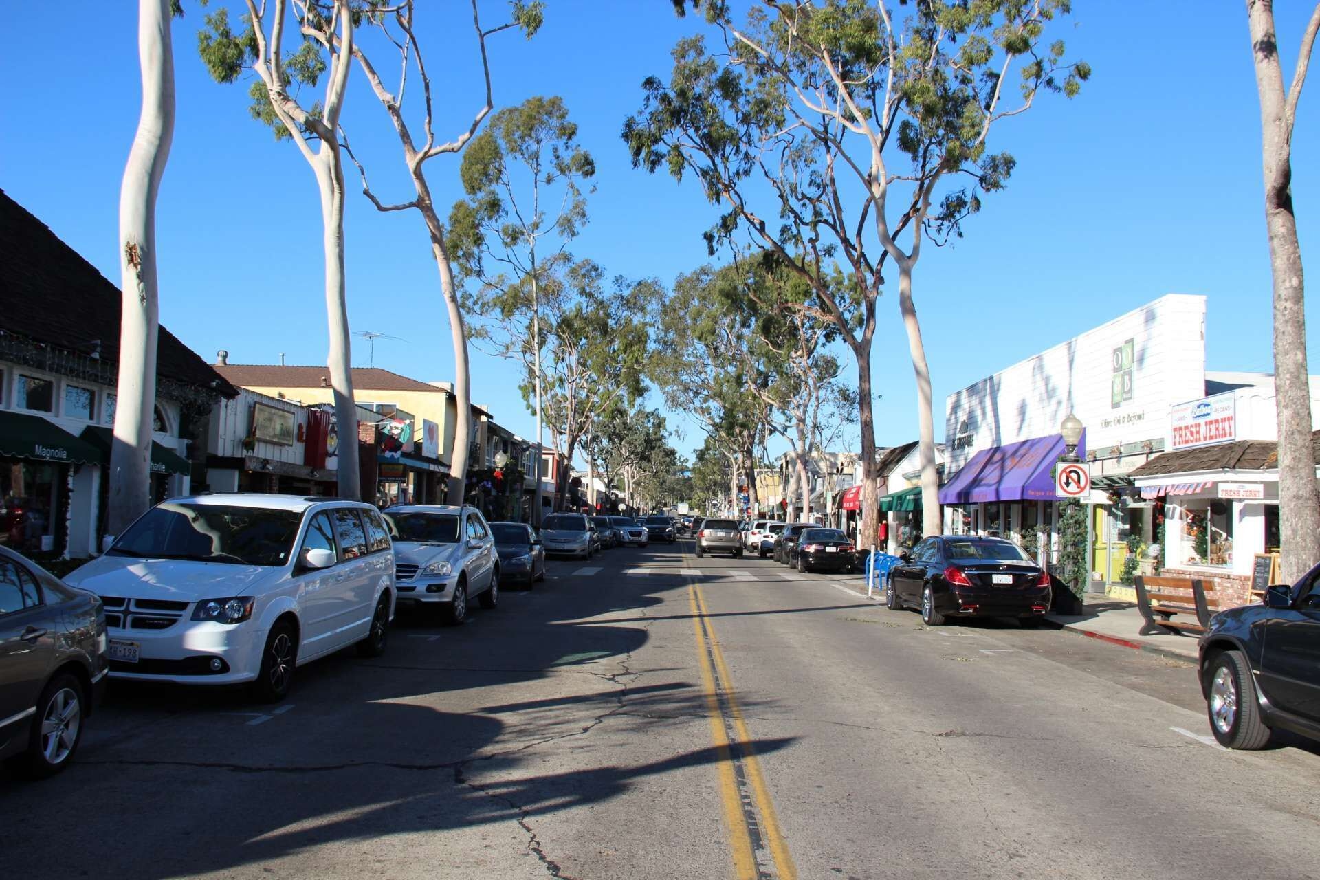 Une rue bordée de voitures garées et d’arbres, avec des immeubles de chaque côté.