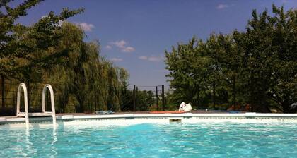 Charming cabin in vineyards with terrace and fireplace