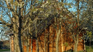 Een rustiek houten gebouw omringd door bomen met witte bloemen.