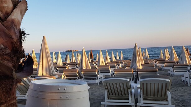 A beach with rows of sun loungers and umbrellas, a palm tree, and a clear sky. - COSY BEDROOM 23m2. Adults Only (agde)