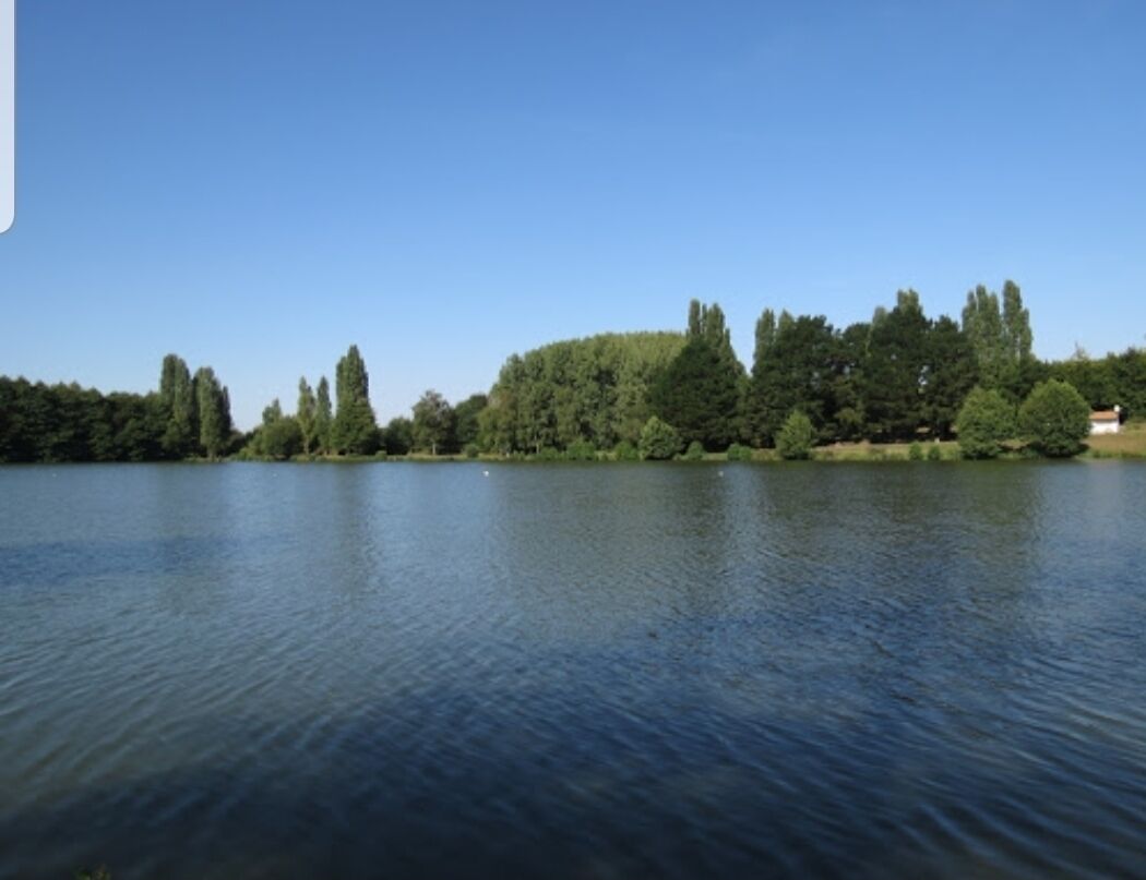Un lac paisible, bordé d’arbres, avec un bâtiment visible au loin.