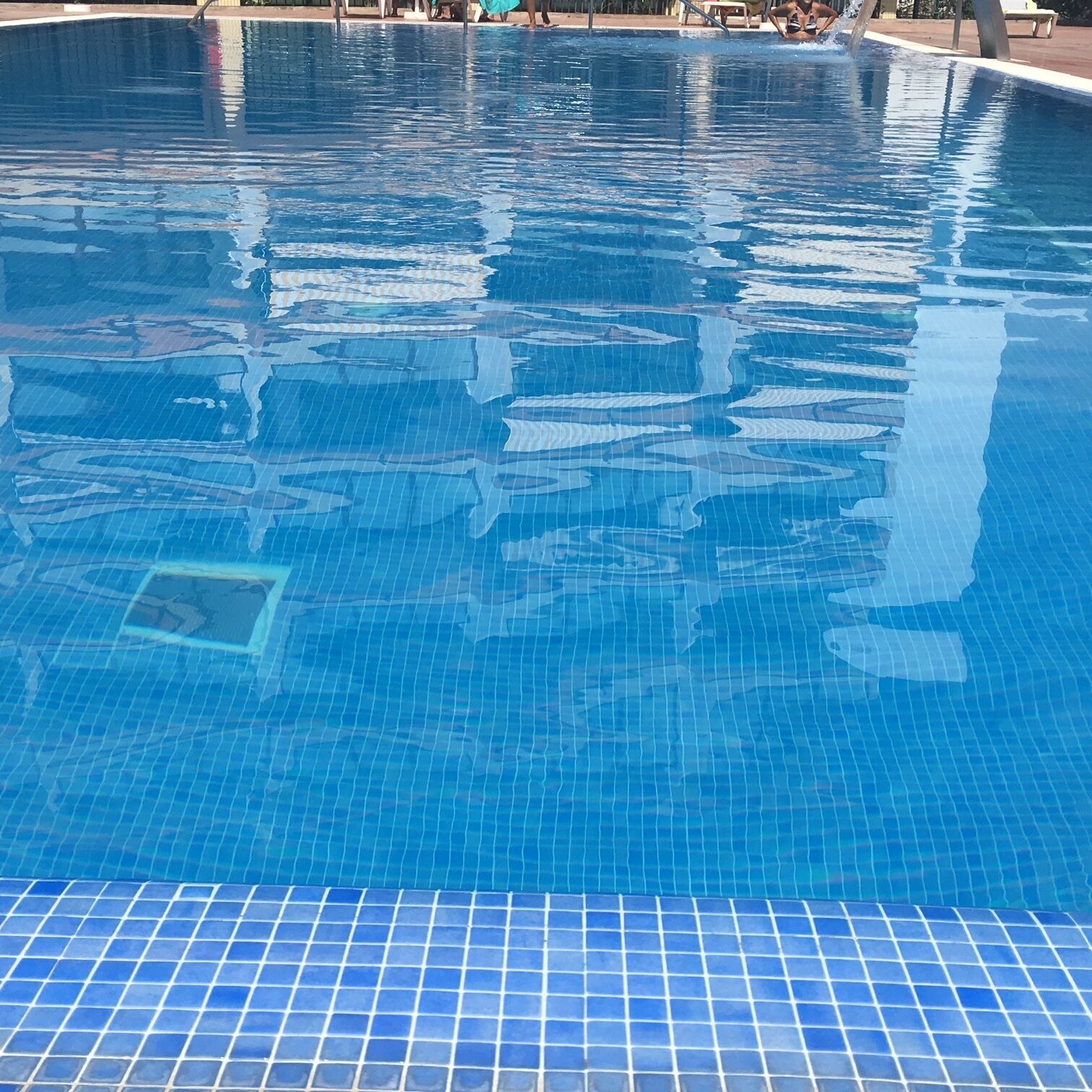 A clear blue swimming pool with tiled edges and a visible pool ladder.