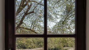 A window with a view of a tree-lined lake. - Beautiful 1900 Demeure with swimming pool and enclosed garden, in a charming village (Apremont-sur-Allier)