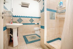 淋浴设施、吹风机、毛巾、肥皂