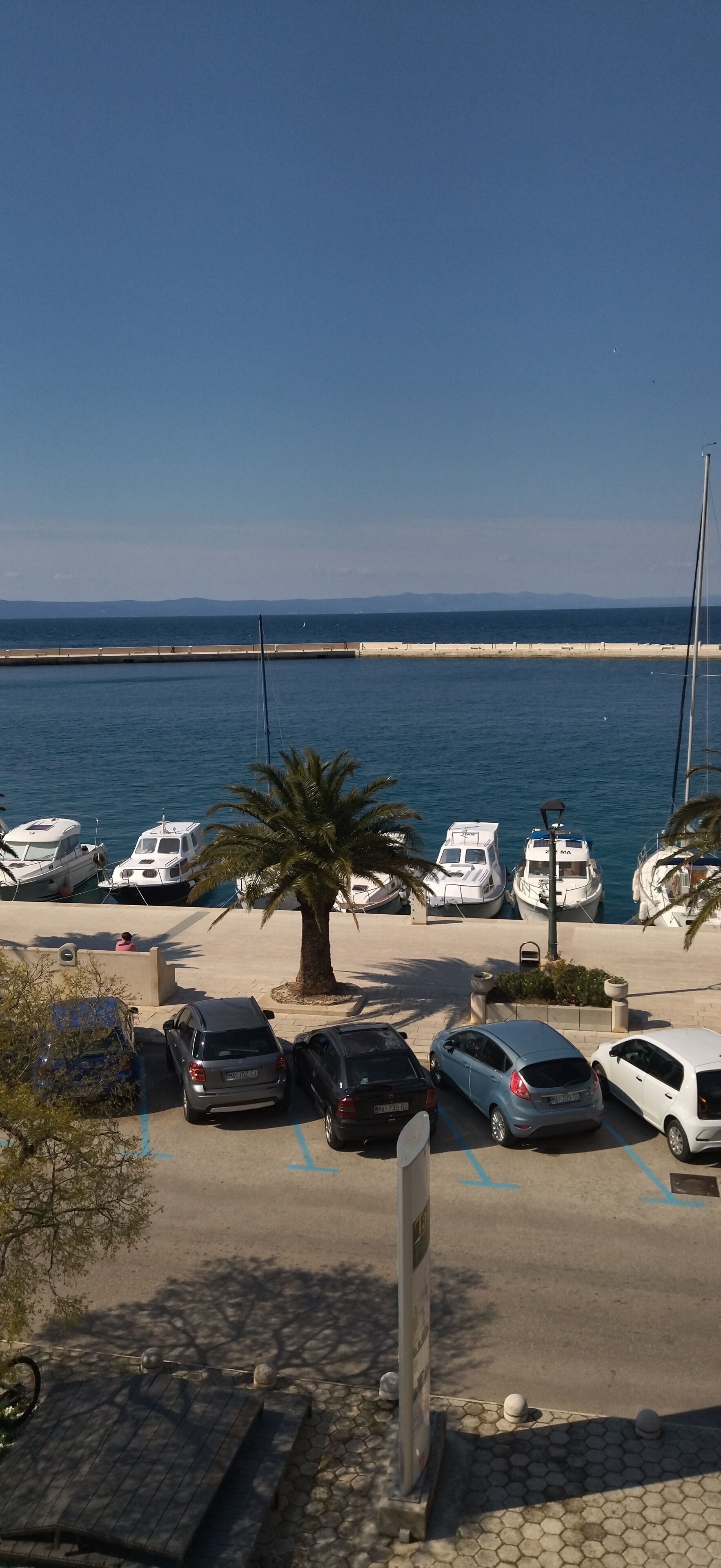 Puerto deportivo con coches aparcados, barcos, una palmera y una vista despejada del mar.