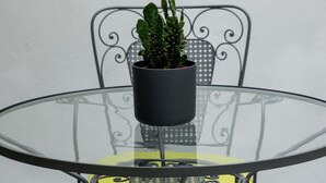Une table ronde en verre surmontée d’un pot de plante, une chaise en métal avec un dossier décoratif et un luminaire fixé au mur.